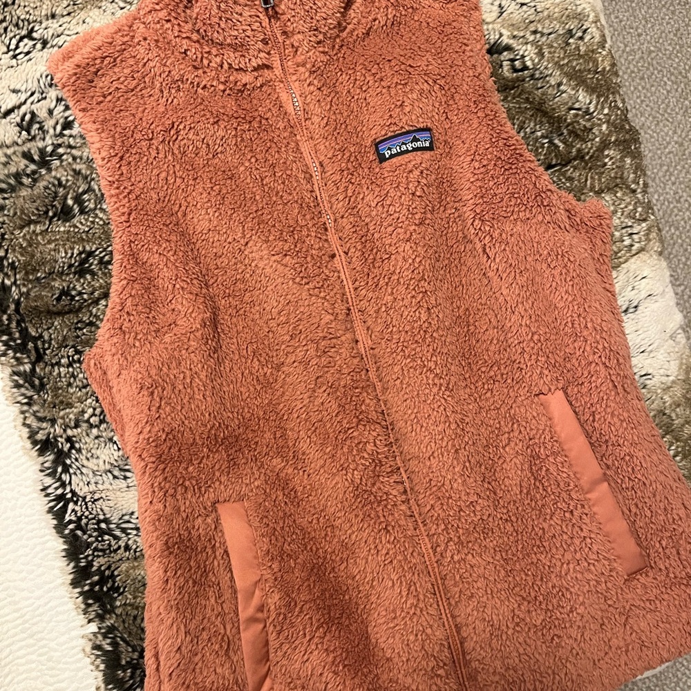 Patagonia Fleece Vest